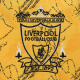 Retro Liverpool Third Jersey 1995/96