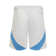 Argentina Home Shorts Copa America 2024