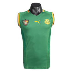 Retro Cameroon Home Jersey 2002