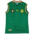 Retro Cameroon Home Jersey 2002