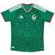 Mexico Home Match Jersey Player Version World Cup 2026